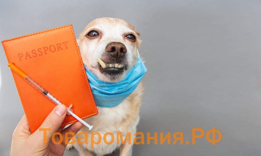 Зачем нужен ветеринарный паспорт на собаку