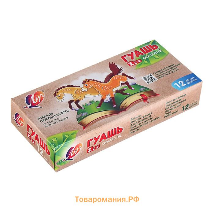Гуашь 12 цветов × 15 мл ZOO, блок-тара
