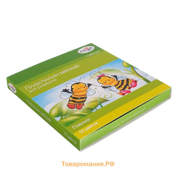 Пластилин мягкий (восковой) Гамма «Пчёлка», 12 цветов, 180 г, со стеком, картонная коробка