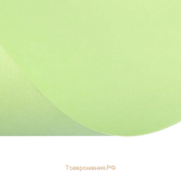 Бумага цветная А4, 50 листов Calligrata Пастель, зелёная, 80 г/м²