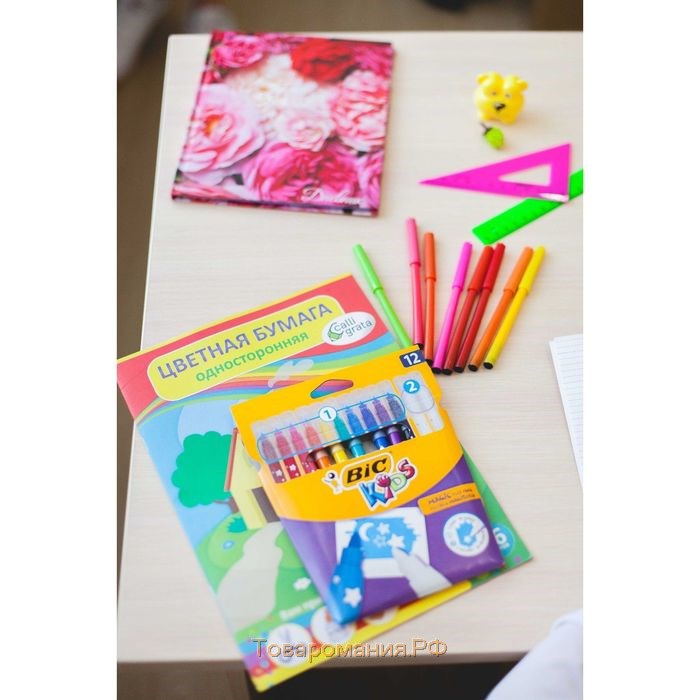 Фломастеры 10 цветов BIC Kids Magic и 2 обесцвечивающих, детские, стираемые