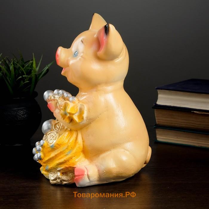 Копилка для денег «Поросёнок большой с мешком», гипс, 17×14×24 см МИКС