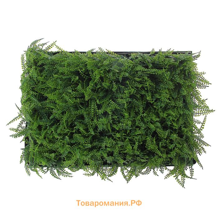 Декоративная панель, 60 × 40 см, «Сочная трава», Greengo