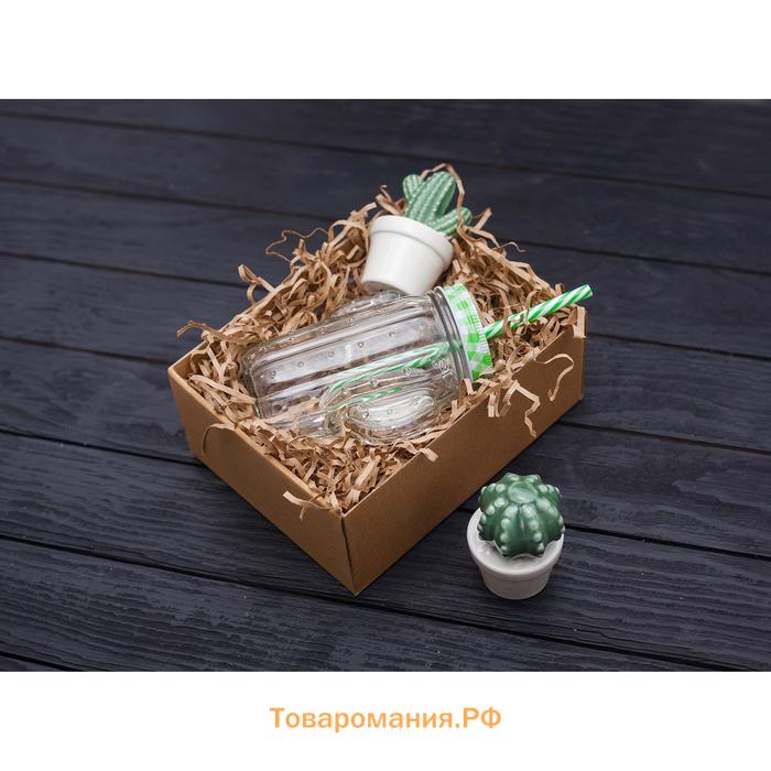 Кружка  «Кактус», 450 мл, 11×7×15 см, стекло, с крышкой и трубочкой, прозрачная