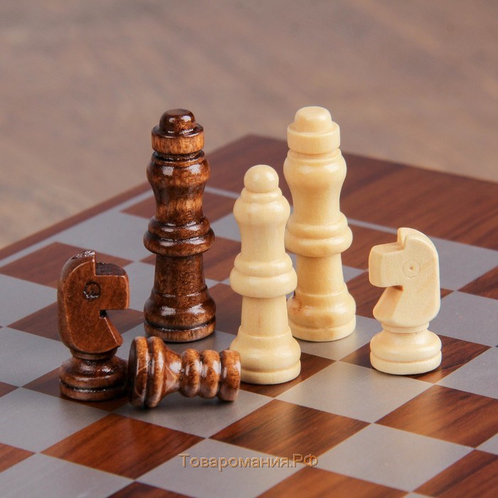 Набор 2 в 1: шахматы, лото, 22 х 27 см