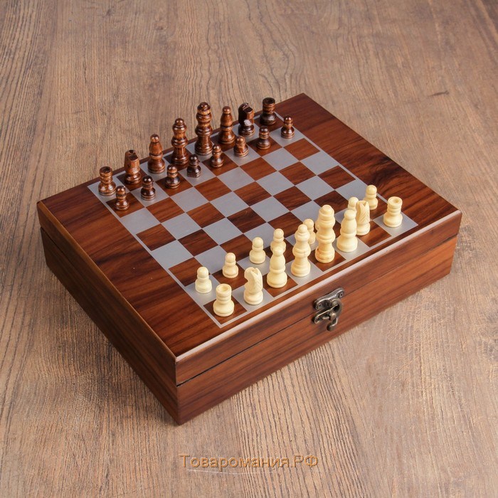 Набор 2 в 1: шахматы, лото, 22 х 27 см