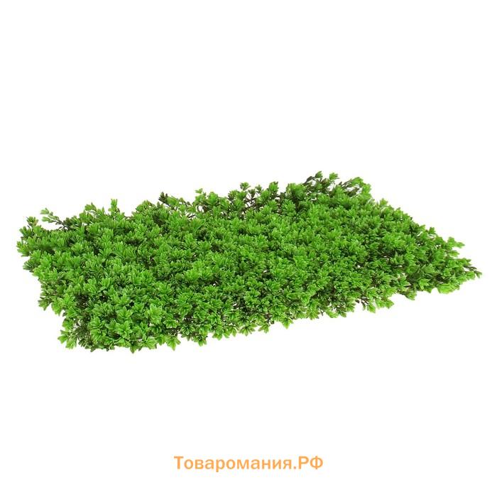 Декоративная панель, 60 × 40 см, «Высокий мох», Greengo