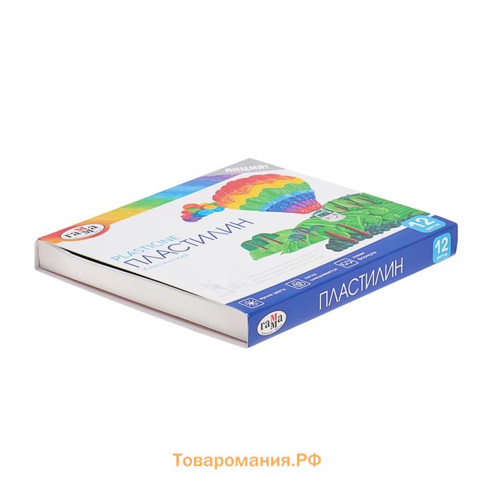 Пластилин «Гамма. Классический», 12 цветов, 240 г, со стеком