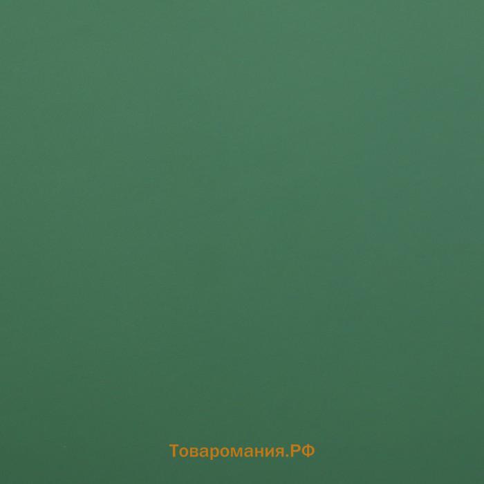 Пленка матовая для цветов, двухсторонняя,«Зефир» ,57 см × 5 м