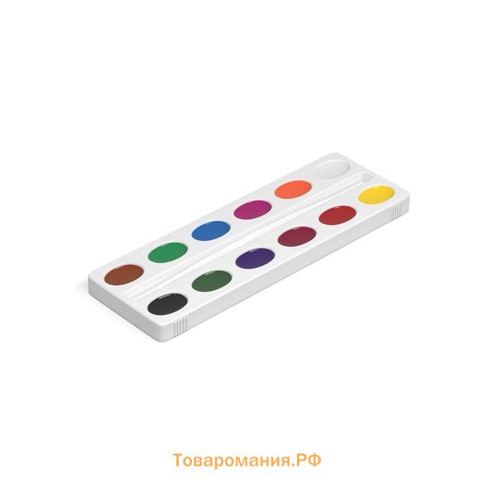 Акварель медовая ErichKrause Basic, 12 цветов, без кисти, пластик, картонный пенал