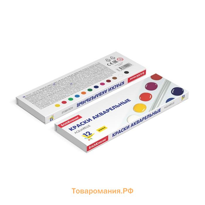 Акварель медовая ErichKrause Basic, 12 цветов, без кисти, пластик, картонный пенал