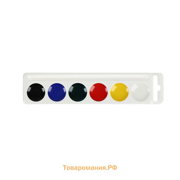 Акварель Calligrata, 6 цветов, без кисти, картон