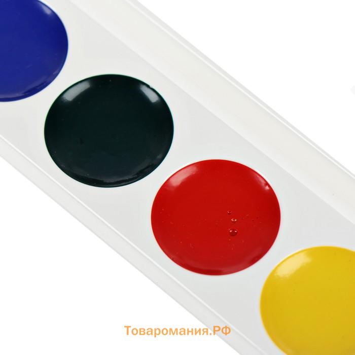 Акварель Calligrata, 6 цветов, без кисти, картон