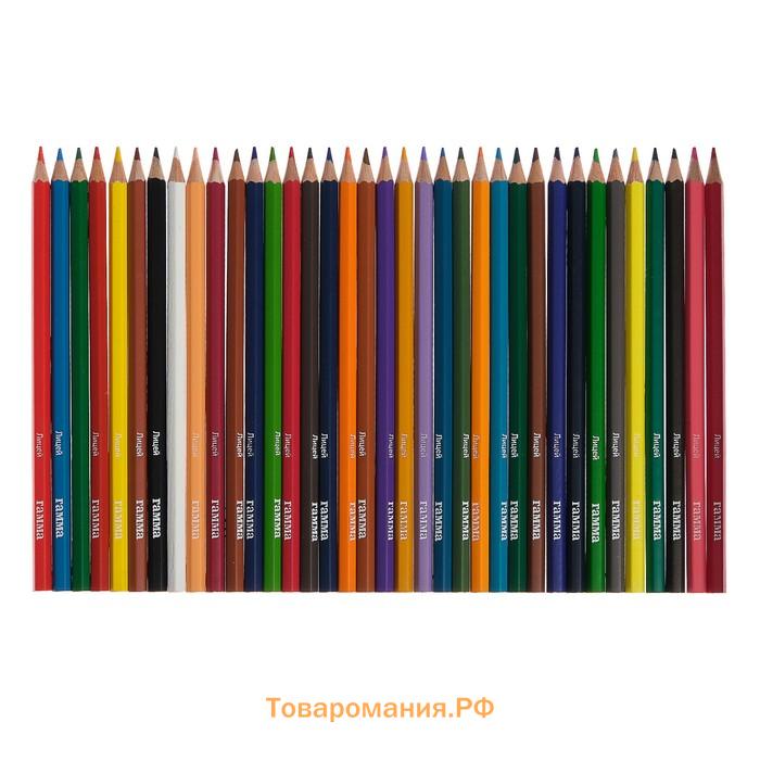 Карандаши цветные акварельные 36 цветов, «Гамма. Лицей», с кистью, шестигранные