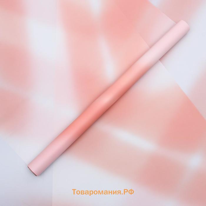 Пленка для цветов «Переход» розовый, 0.58×10 м