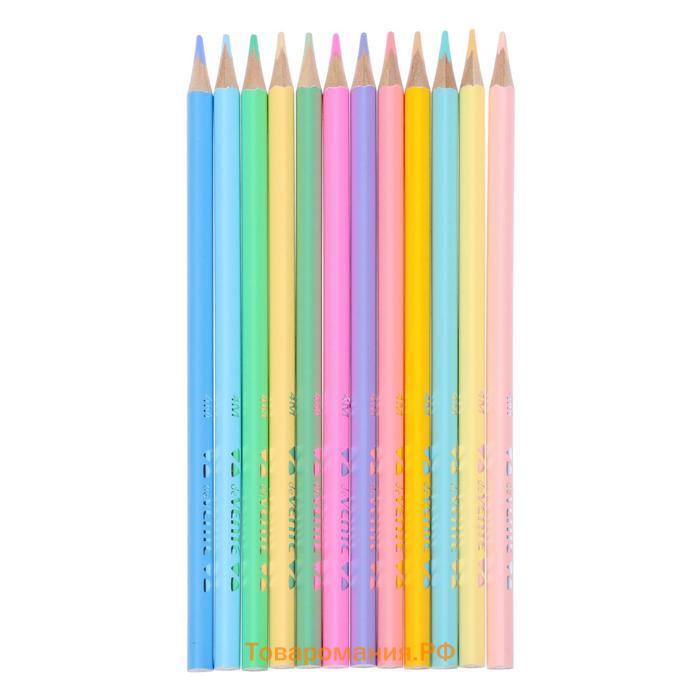 Карандаши цветные 12 цветов, deVENTE Trio Mega Soft Pastel, трёхгранный корпус, супер мягкие, 4M, грифель 3 мм, пастельные цвета