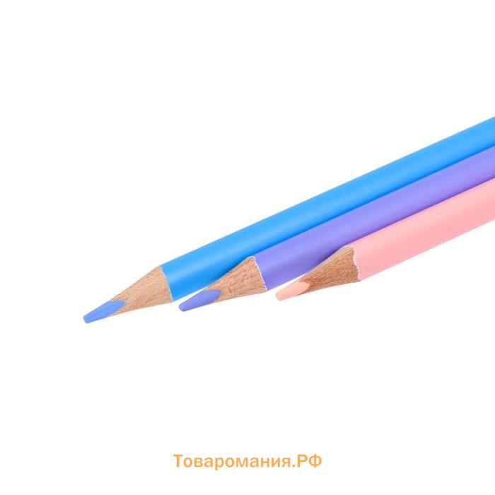 Карандаши цветные 12 цветов, deVENTE Trio Mega Soft Pastel, трёхгранный корпус, супер мягкие, 4M, грифель 3 мм, пастельные цвета