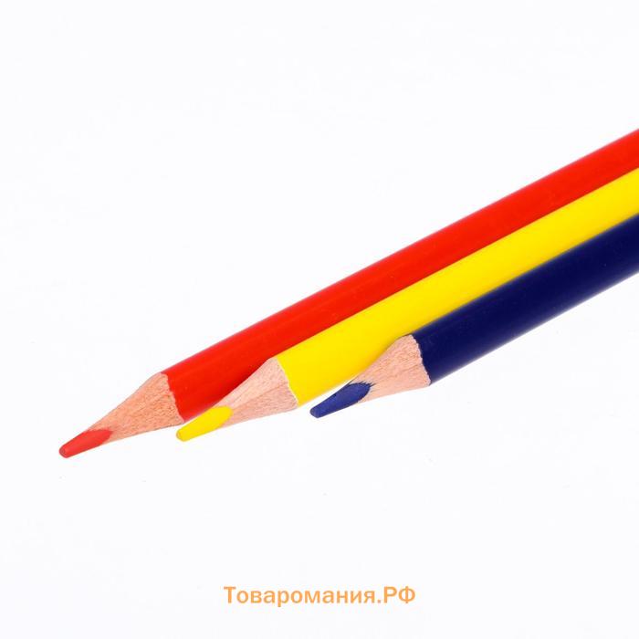 Карандаши цветные 6 цветов «Школа Творчества», трёхгранные