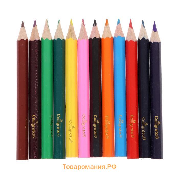Карандаши цветные «Принцесса», МИНИ, 12 цветов, корпус деревянный, шестигранные