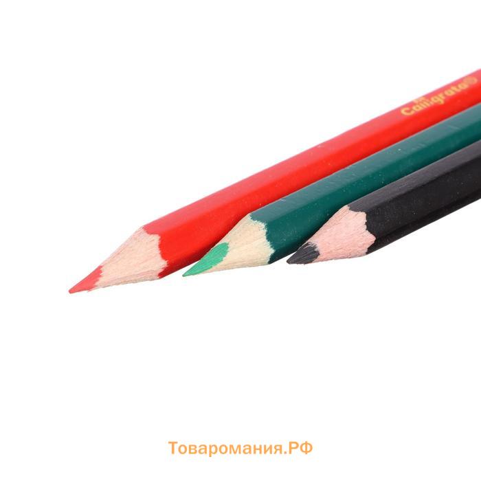Карандаши цветные «Принцесса», МИНИ, 12 цветов, корпус деревянный, шестигранные