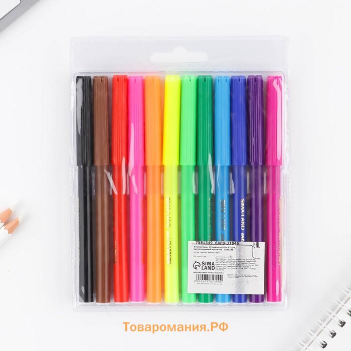 Фломастеры 12 цветов вентилируемый колпачок с европодвесом