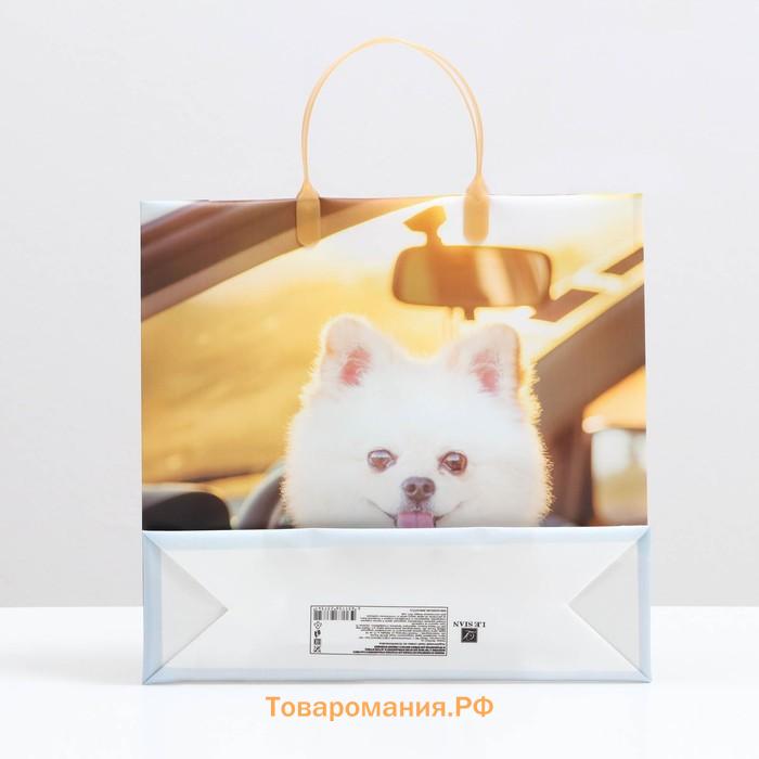 Пакет «Белый шпиц», мягкий пластик, 30×30 см, 100 мкм