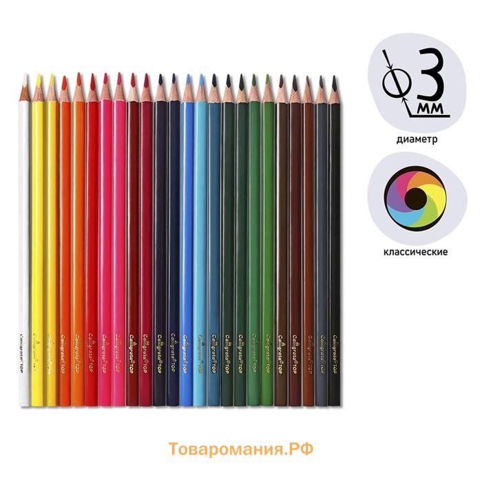 Карандаши цветные 24 цвета TOP Calligrata, супермягкие, в картонной коробке, диаметр грифеля 3 мм, 5B