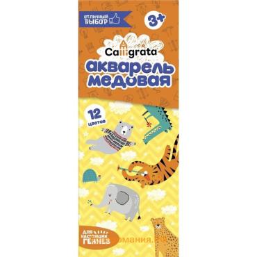 Акварель Calligrata, 12 цветов, без кисти, картон, МИКС