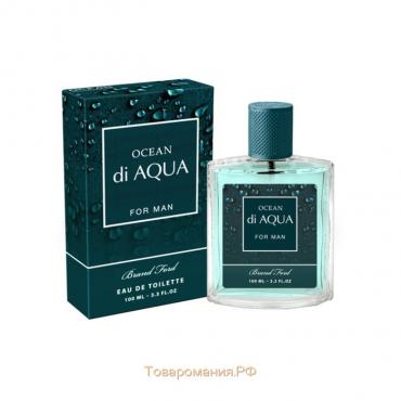 Туалетная вода мужская Ocean di Aqua, 100 мл (по мотивам Acqua Di Gio (G.Armani)