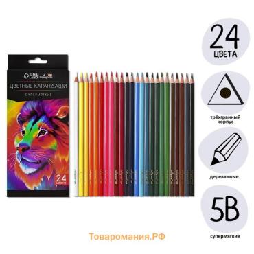 Карандаши цветные 24 цвета TOP Calligrata, супермягкие, в картонной коробке, диаметр грифеля 3 мм, 5B